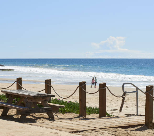 Picnic Table